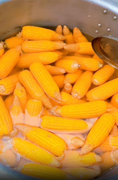 Anunaye Charitable Trust